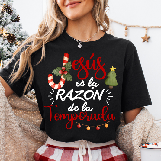 Jesús es la razón de la temporada DTF Shirt transfer